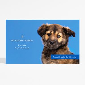 Wisdom Panel Essential Dog Breed Test Kit